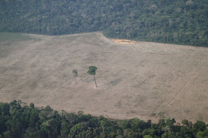 Mercado de carbono: governo consultará setores impactados por medida